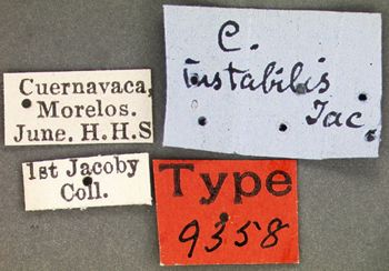 Media type: image; Entomology 9358   Aspect: labels